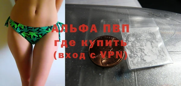 сатива Заволжск