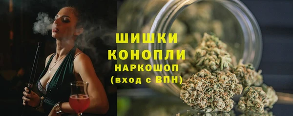сатива Заволжск