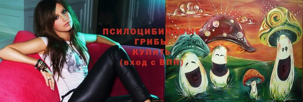 сатива Заволжск