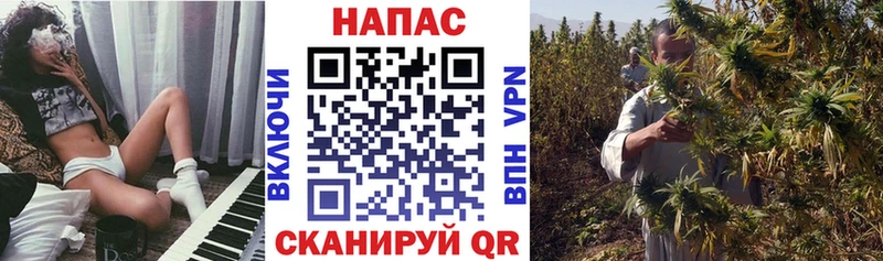 МАРИХУАНА сатива  Купить закладки  Гороховец 